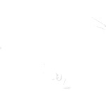 1321188003_1
