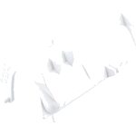 1525887004_2