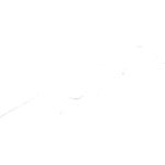 50115621000_2