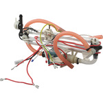 BO-00648446