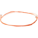 BO-10006843